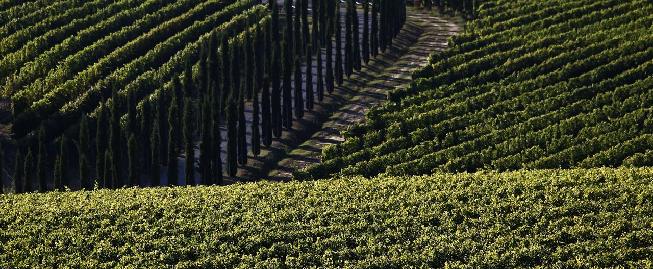 Poggio Al Casone Βίλα Crespina Εξωτερικό φωτογραφία